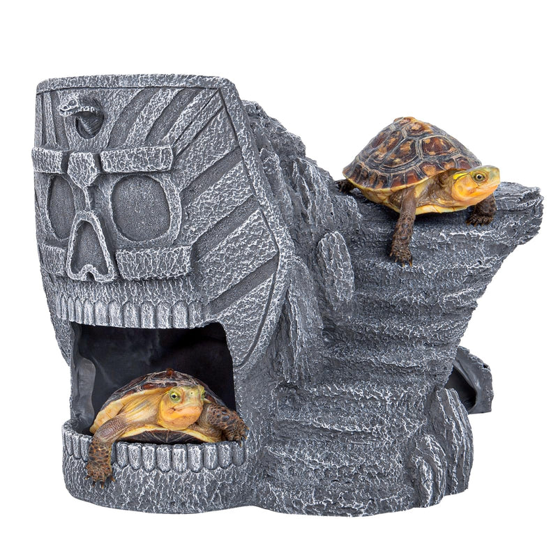 Gray stone Egyptian pharaoh skull cave with two small turtles positioned on top and inside