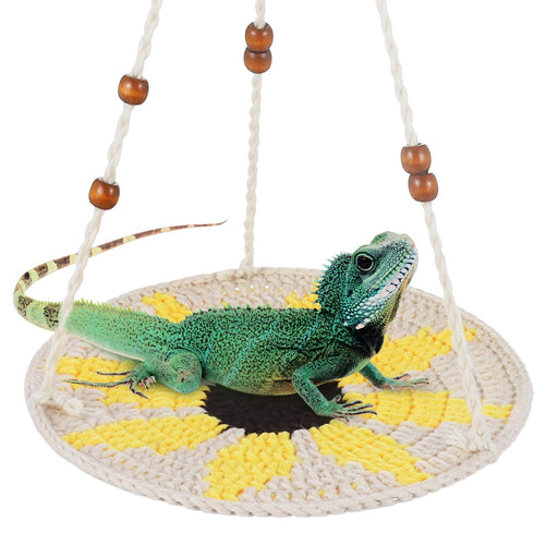 Green iguana sitting on yellow and cream sunflower patterned hammock suspended by rope cords