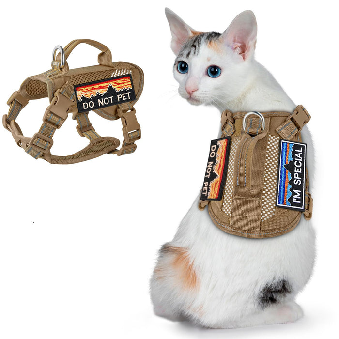 White calico cat wearing brown tactical mesh harness with DO NOT PET and I'M SPECIAL patches