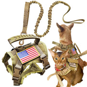 Tactical cat harness with American flag patch shown on orange tabby cats and leash component
