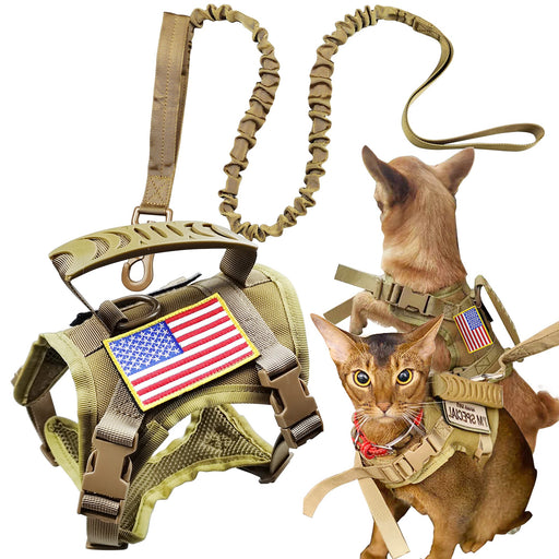 Tactical cat harness with American flag patch shown on orange tabby cats and leash component
