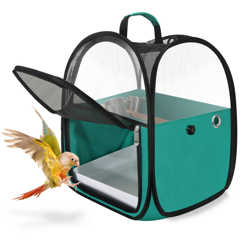 Teal portable bird carrier with mesh panels and open door showing colorful parrot flying out