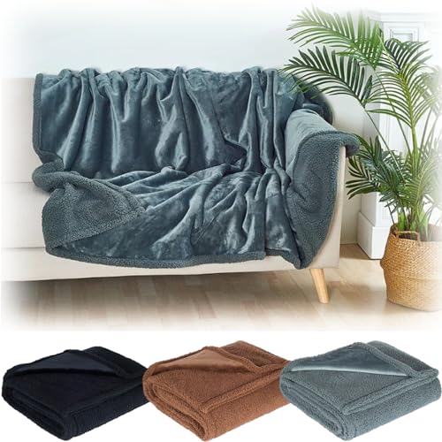 Teal waterproof pet blanket draped on white couch with palm plant, color options shown below