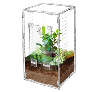 Clear acrylic terrarium with ventilation holes containing green plants and soil layers