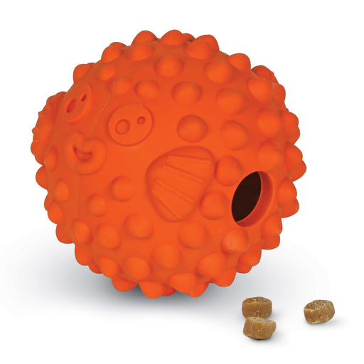 Orange textured pufferfish dog toy with dark opening hole and three kibble pieces nearby