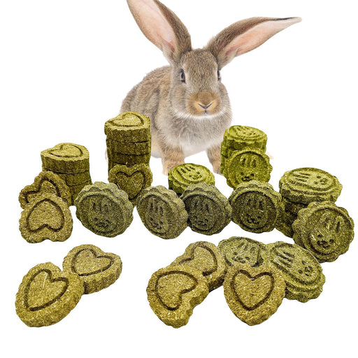 Brown rabbit sitting behind scattered green timothy grass chew cakes on white background