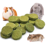 Green compressed timothy hay treats with guinea pig, rabbit and hamster on white background