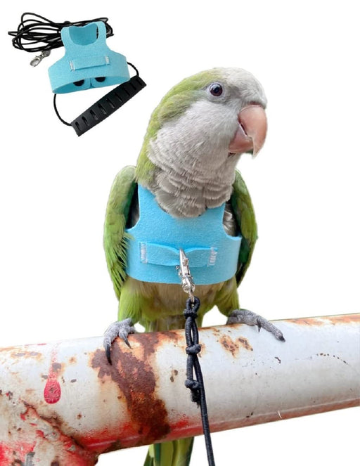 Green and white parrot wearing turquoise flight harness with black leash on perch