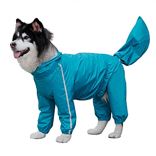 Black and white husky wearing turquoise waterproof full-body raincoat with hood and four legs