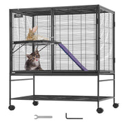 Black metal rolling small animal cage with two levels showing rabbit on top shelf and kitten below