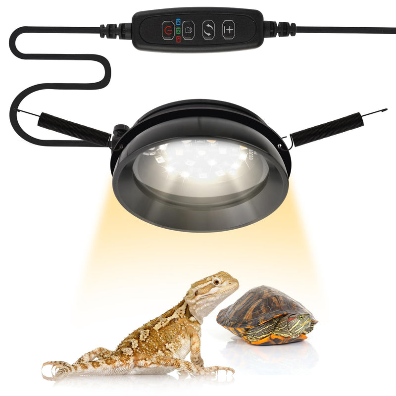 Smart UVB LED light with control unit illuminating bearded dragon and turtle on white background