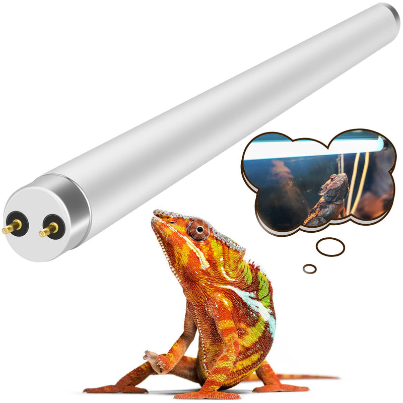 UVB reptile light tube with colorful chameleon thinking about basking under heat lamp