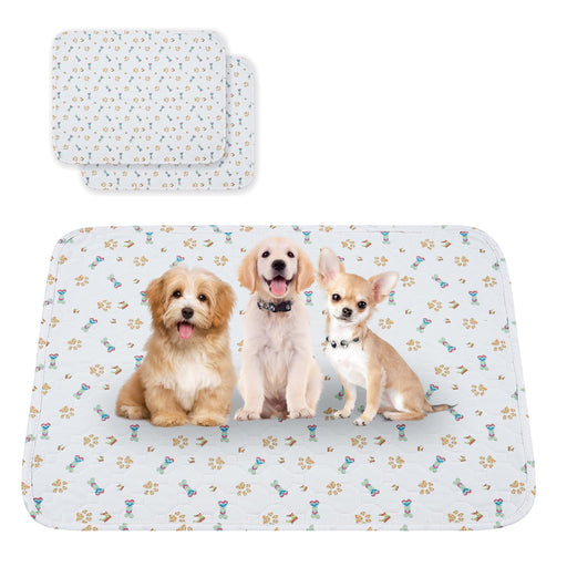 Three small dogs sitting on washable training pad with paw print pattern, showing size options