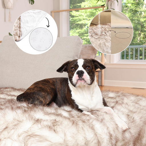 Brown and white dog lying on waterproof faux fur blanket with detail callouts showing protection