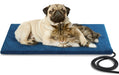 Pug and tabby cat resting together on blue heated pet blanket with black power cord visible