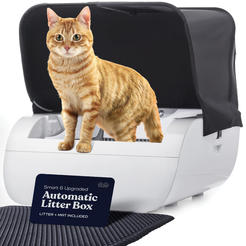 Orange tabby cat standing on white automatic litter box with black hood and mat beneath