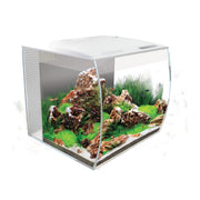 White cube-shaped LED aquarium with landscaped interior featuring rocks, moss, and aquatic plants