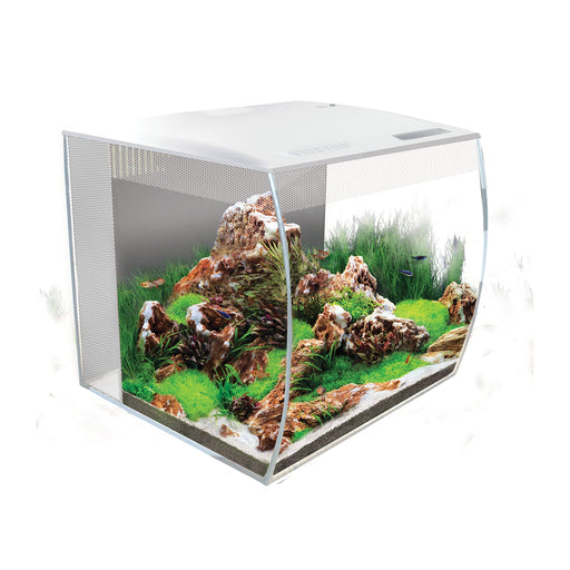 White cube aquarium with planted aquascape featuring rocks, moss, and aquatic plants