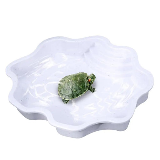 Small red-eared slider turtle sitting in white flower-shaped reptile bathing pool on white