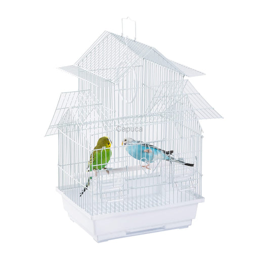 White house-shaped bird cage with two budgerigars perched inside on white background