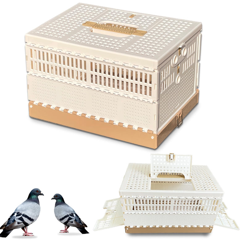 White folding pigeon cage with golden trim shown assembled and disassembled with two pigeons