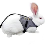 White rabbit wearing gray checkered vest harness with decorative buttons and black leash