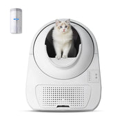 White automatic cat litter box with fluffy kitten sitting inside circular opening, replacement