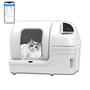 White smart litter box with ragdoll cat inside chamber and mobile app interface displayed above