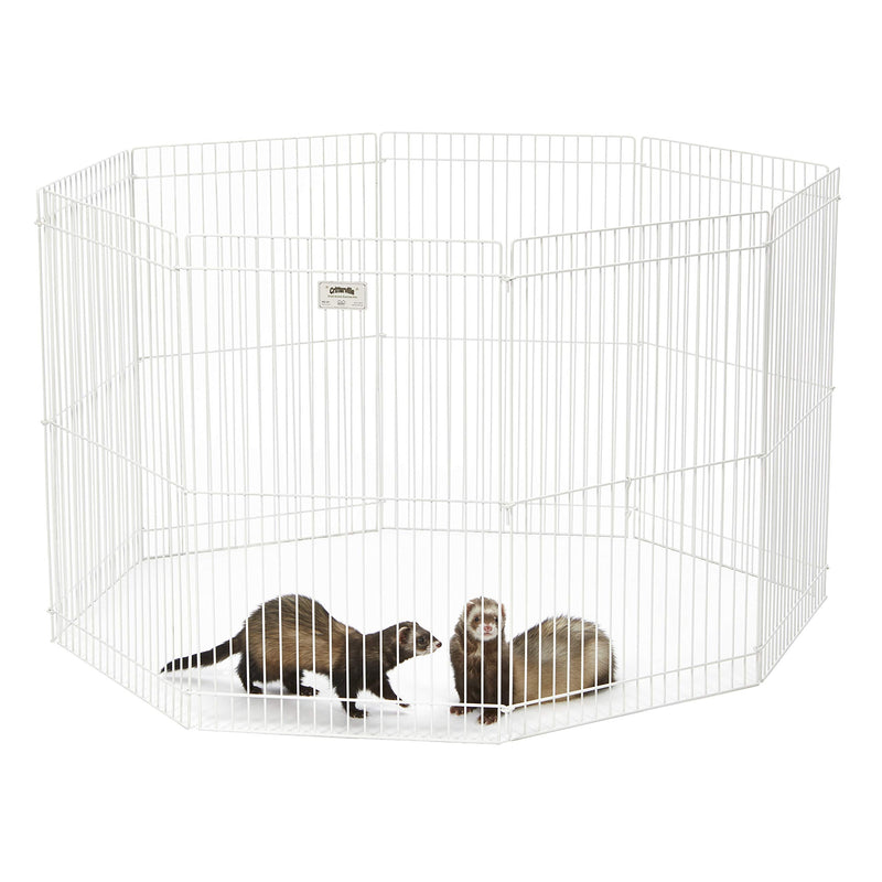 White wire exercise pen containing two ferrets on white background