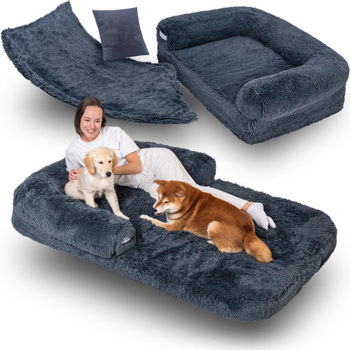 Woman lying on large dark gray fuzzy dog bed with golden retriever puppy and shiba inu