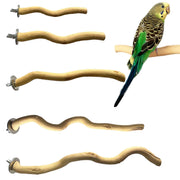 Natural wood parrot perches with metal clamps and green budgie bird perched on branch