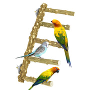 Natural wood climbing ladder with multiple perches showing three colorful parrots and one budgie