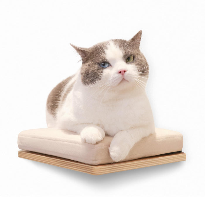 White and gray cat with heterochromia sitting on beige cushioned wooden wall shelf