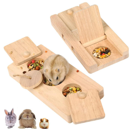Wooden foraging puzzle feeders with hamster eating colorful treats from circular compartments