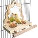 Two yellow lovebirds eating from food bowls on wooden feeding station with mirror and perch
