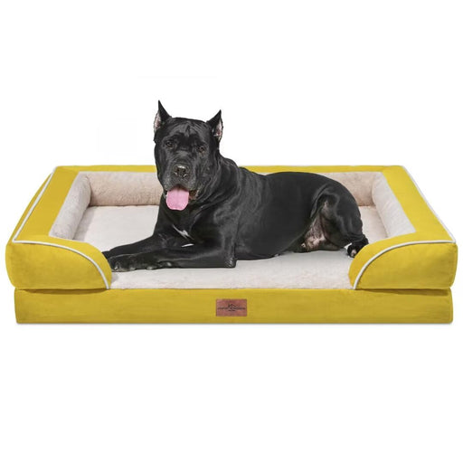 Large black dog with cropped ears lying on yellow orthopedic dog bed with white interior padding