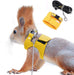 Red squirrel wearing yellow harness with chain leash, product components shown separately above