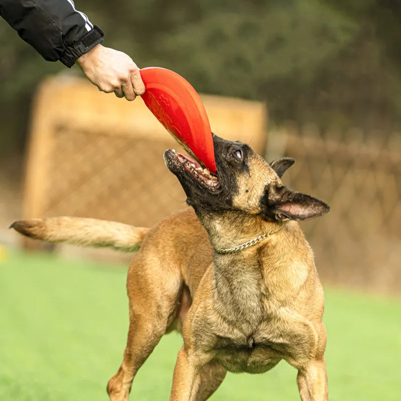 Rubber Flying Retrieval Disc for Dogs