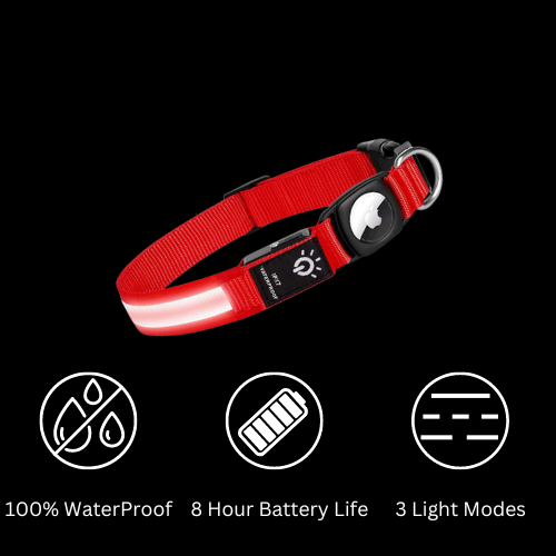 Puplights Luminous AirTag Dog Collar