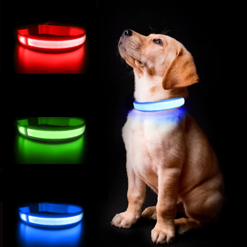 Puplights Luminous AirTag Dog Collar